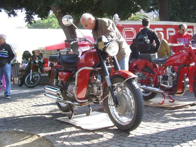 rc019.jpg