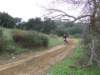 dscf2639_small.jpg