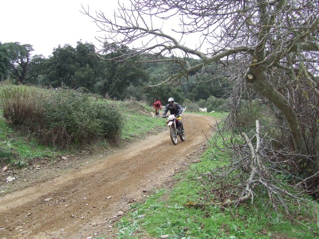 dscf2643.jpg