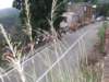 dscf2665_small.jpg