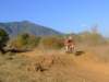 dscf2301_small.jpg