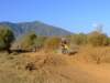 dscf2305_small.jpg