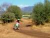 dscf2331_small.jpg