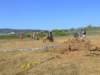 dscf2380_small.jpg