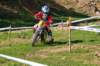 dsc_0029_small.jpg