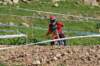 dsc_0049_small.jpg
