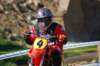 dsc_0064_small.jpg