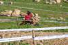 dsc_0088_small.jpg