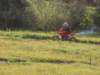 dscn6782_small.jpg