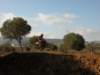 dscn8198_small.jpg
