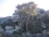 Photo Number 4