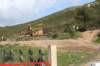 motocross1304020_small.jpg