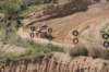 motocross1304048_small.jpg