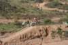 motocross1304100_small.jpg