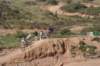motocross1304101_small.jpg