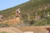 motocross1304146_small.jpg