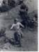 file00033_small.jpg