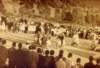file00042_small.jpg