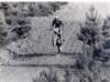 file00122_small.jpg