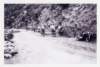 file00123_small.jpg
