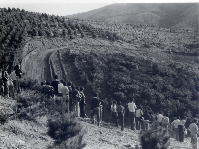 file00133.jpg
