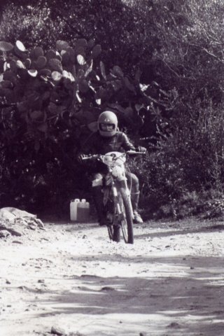 img8.jpg